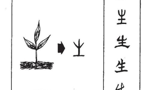 茯苓和芡实的功效与作用及食用方法-【茯苓和芡实的功效与作用及食用方法】茯苓和芡实的功效作用与主治与用量 - 茯苓和芡实的功效网